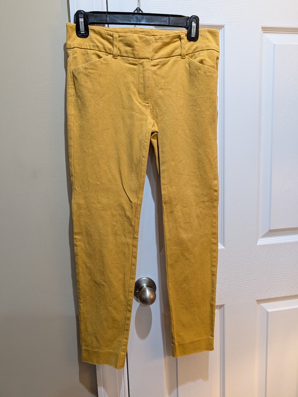 New York & Co. Mustard Yellow Stretch Pants, Size 0
